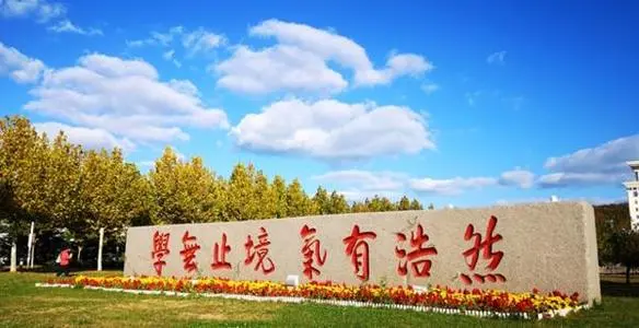 落实《山东大学“课程思政”建设实施方案》工作台账